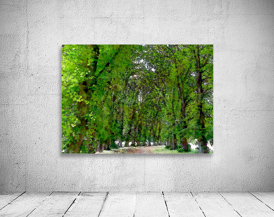 Canopy of Trees Trail Wall Preview