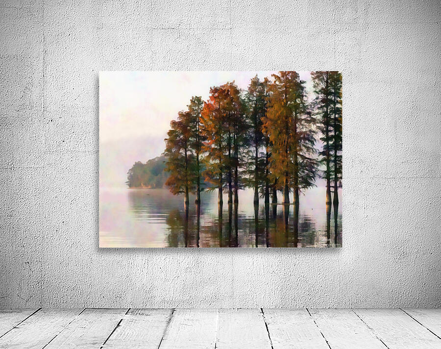 Cypress Trees On The Water Wall Preview