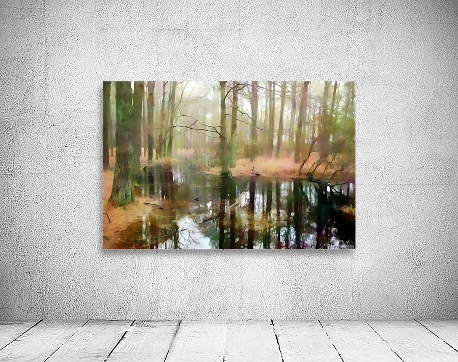 Meandering Backwater Swampy Reflections Wall Preview