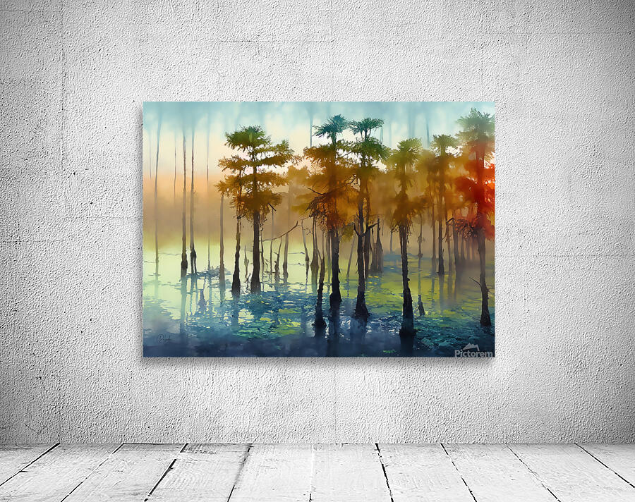 Cypress Trees in the Swamp by Pabodie Art
