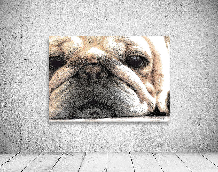 Fig The Miniature French Bulldog Wall Preview