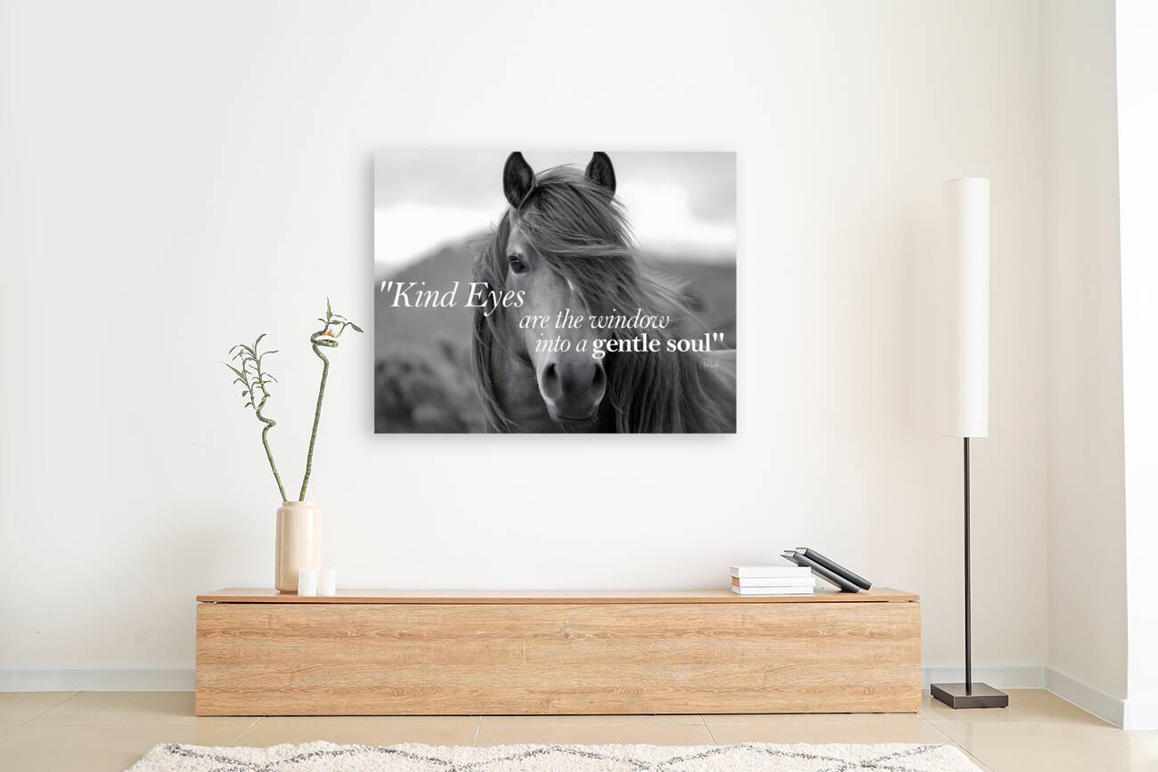 Kind Eyes Reproduction