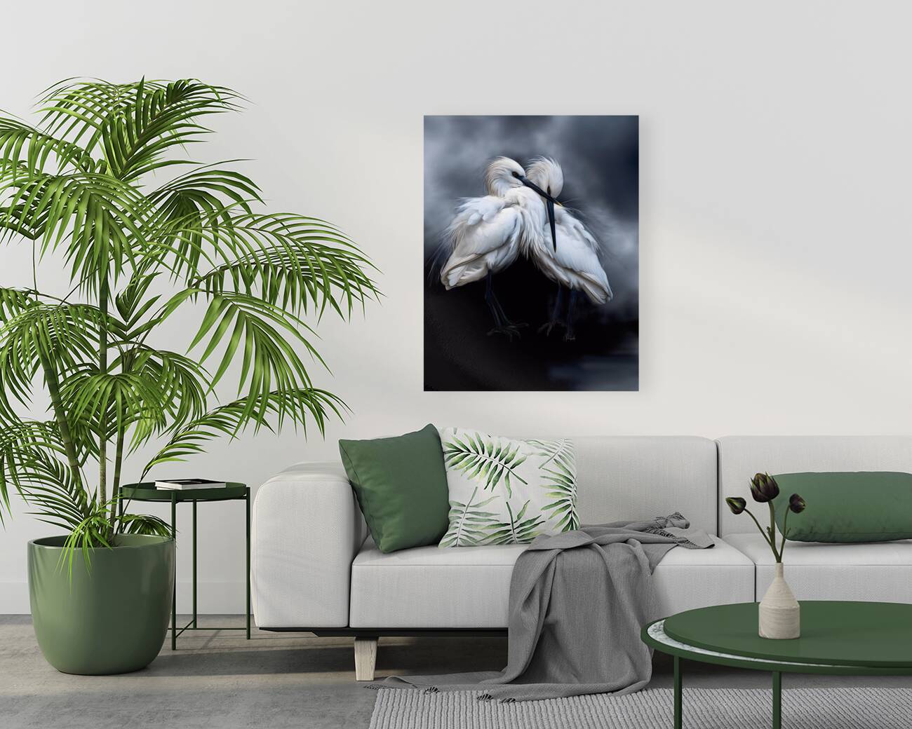 Sleepy Young Egrets Reproduction