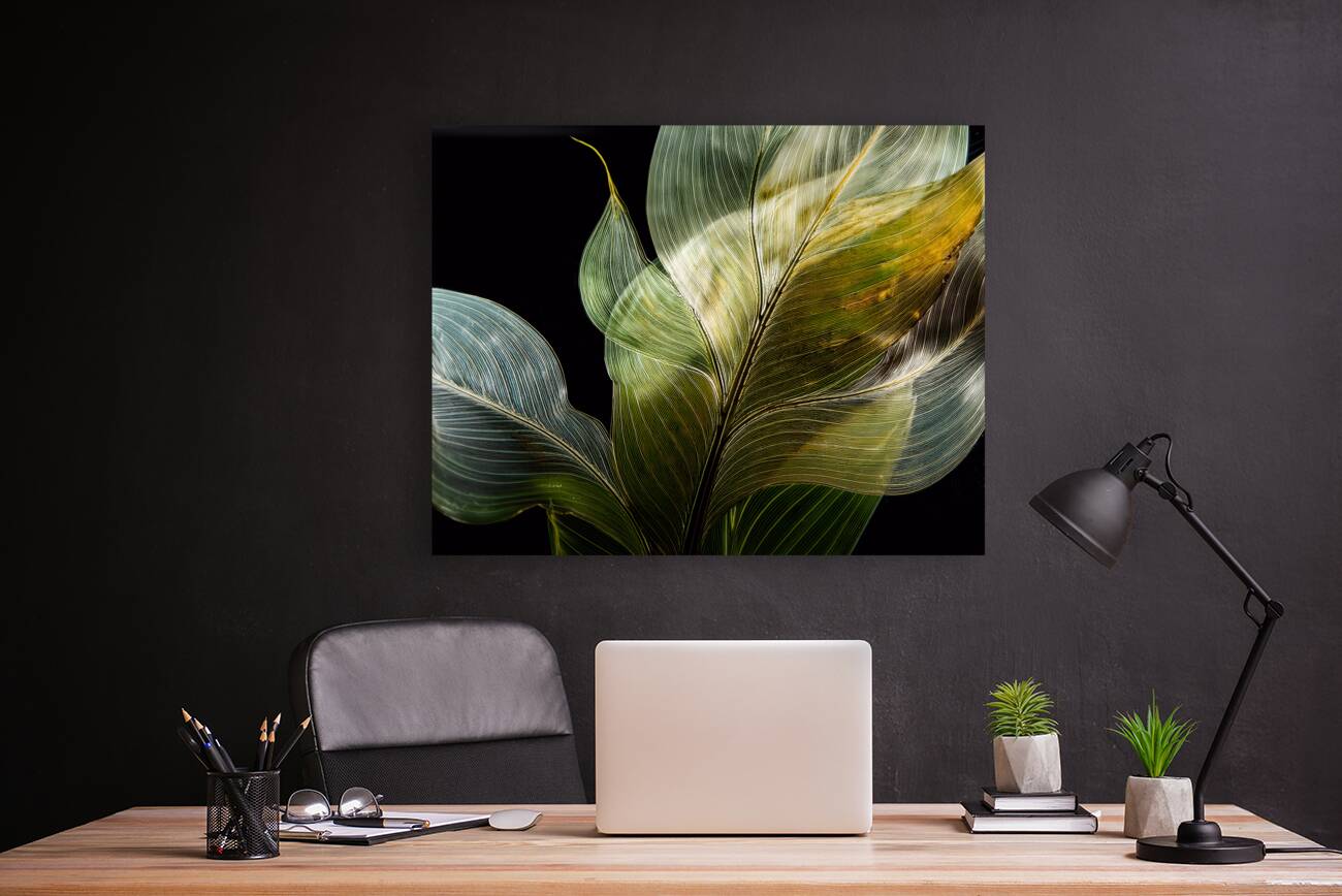 Tropical Leaves on Black Reproduction