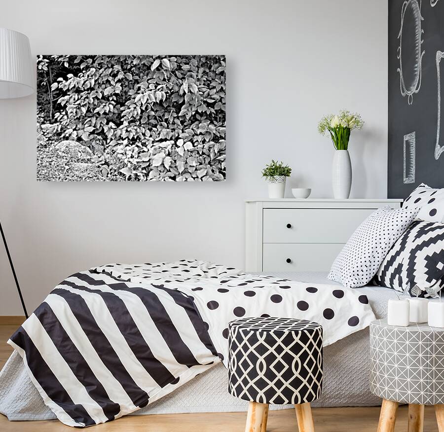 Find The Chippie Reproduction