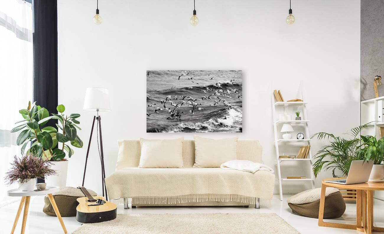 Morning Gulls Reproduction