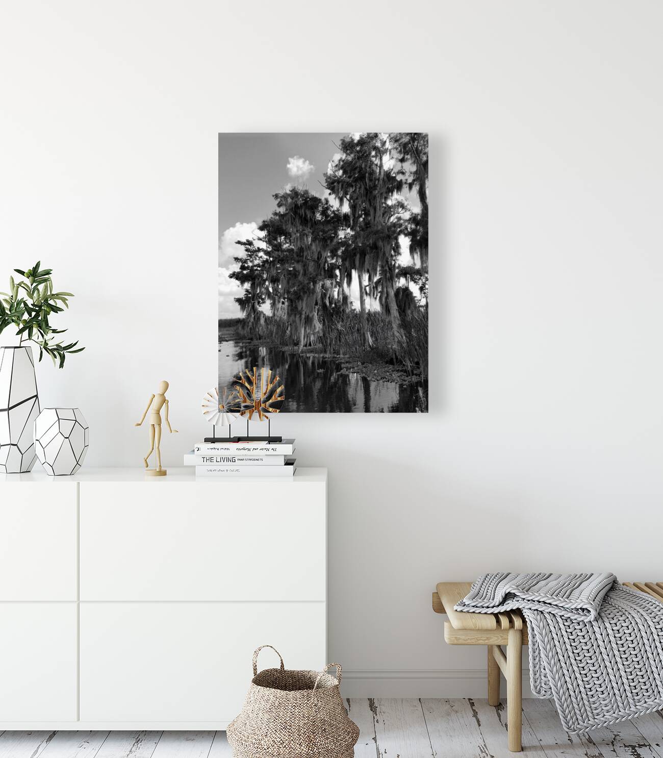 Florida Bald Cypress Reproduction