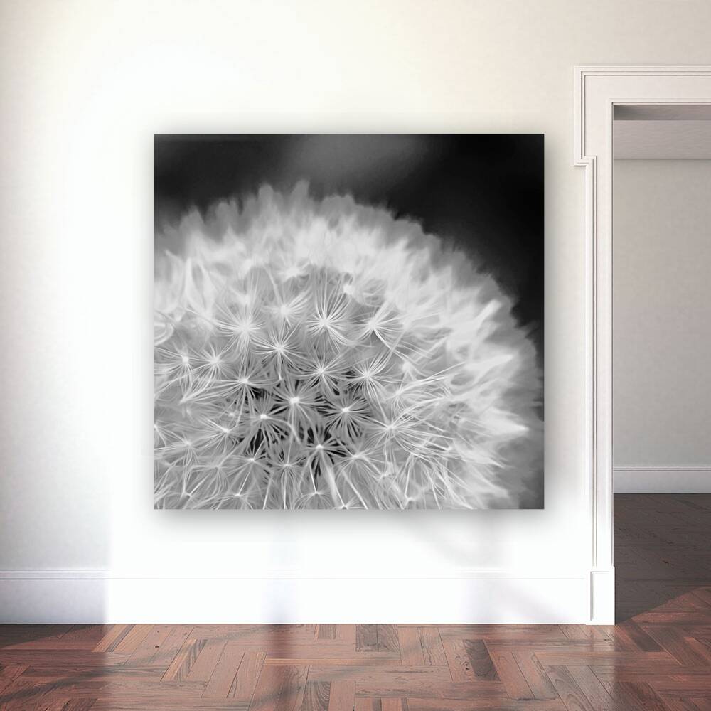 Dandelion Fluff Reproduction