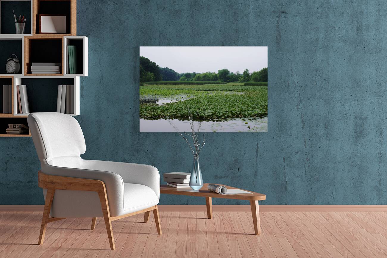 Natural Elevations of Nature at Sheldon Marsh Reproduction