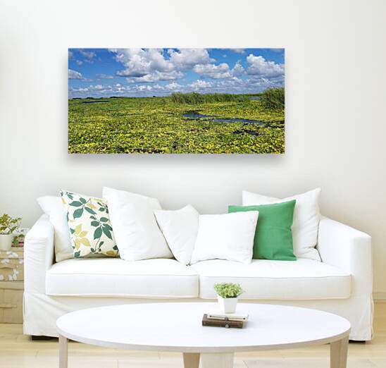 Blue Cypress Lake II Reproduction