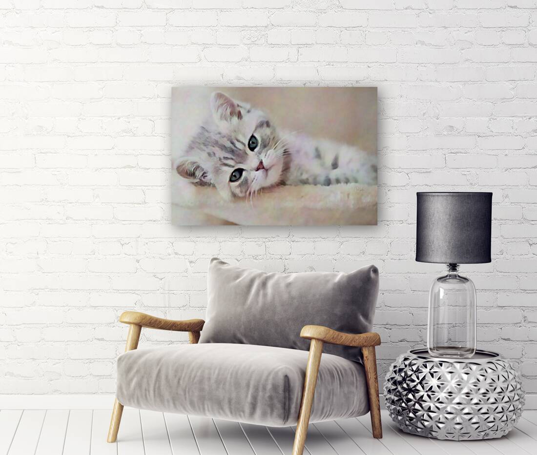 Kitty Cat Snuggling In Reproduction