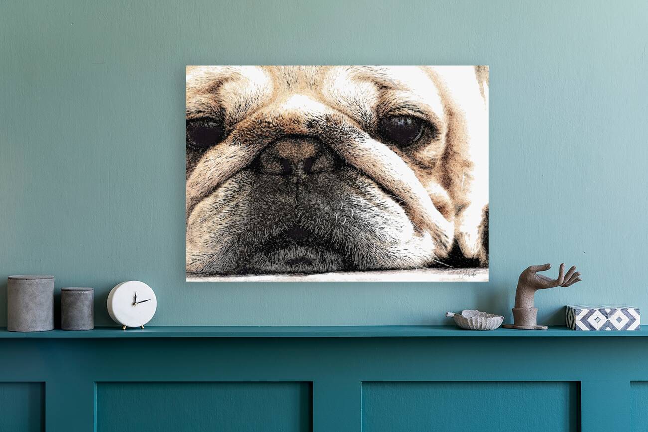 Fig The Miniature French Bulldog  back frame mount