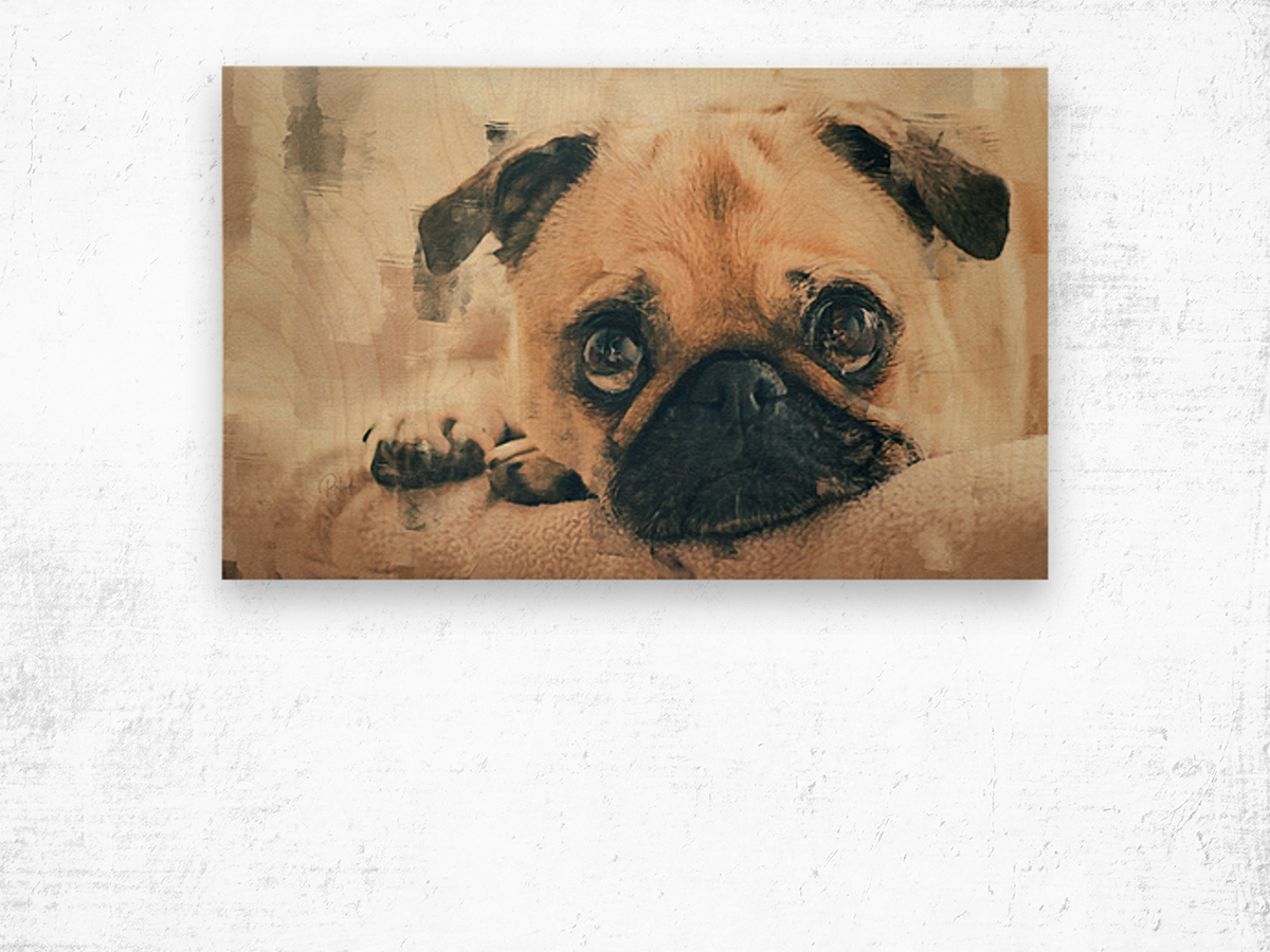 Pug Puppy Portrait Wood print