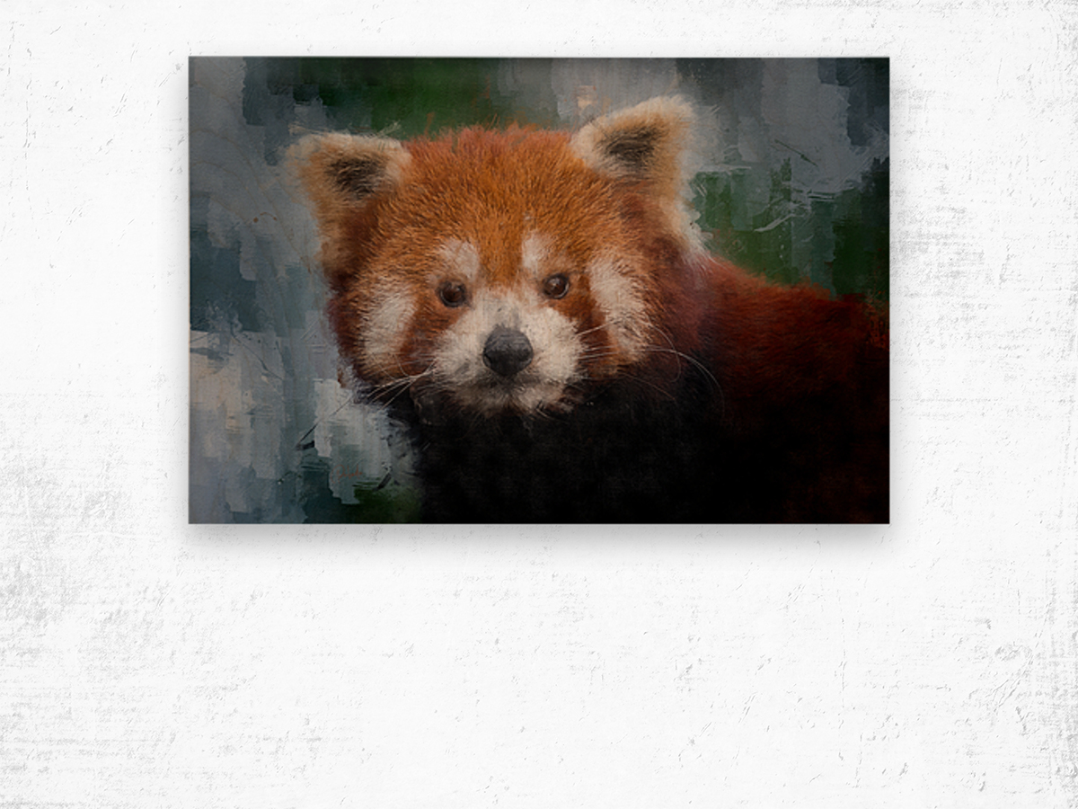 Red Panda Portrait Wood print