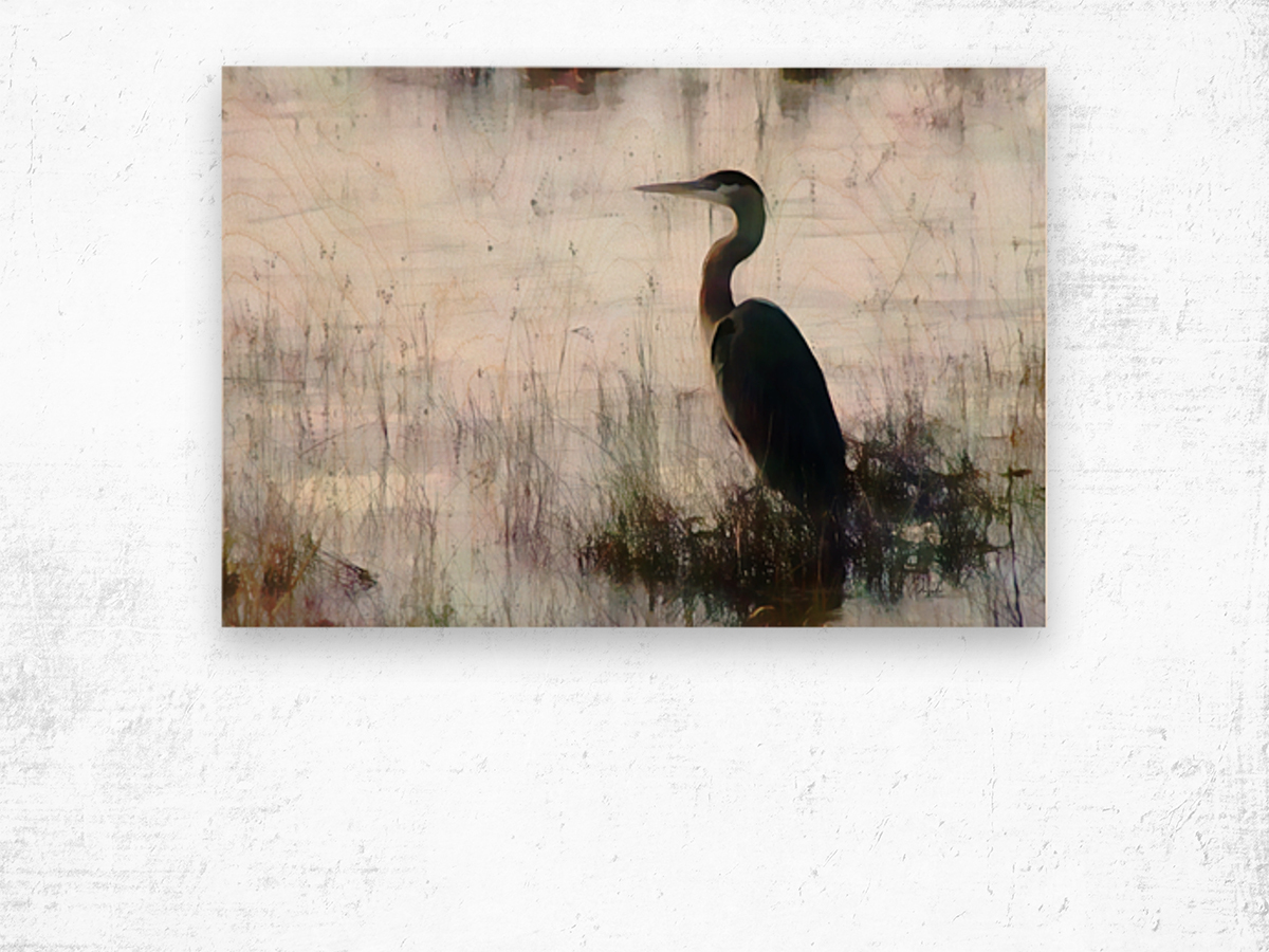 Great Blue Heron In The Shallows Wood print