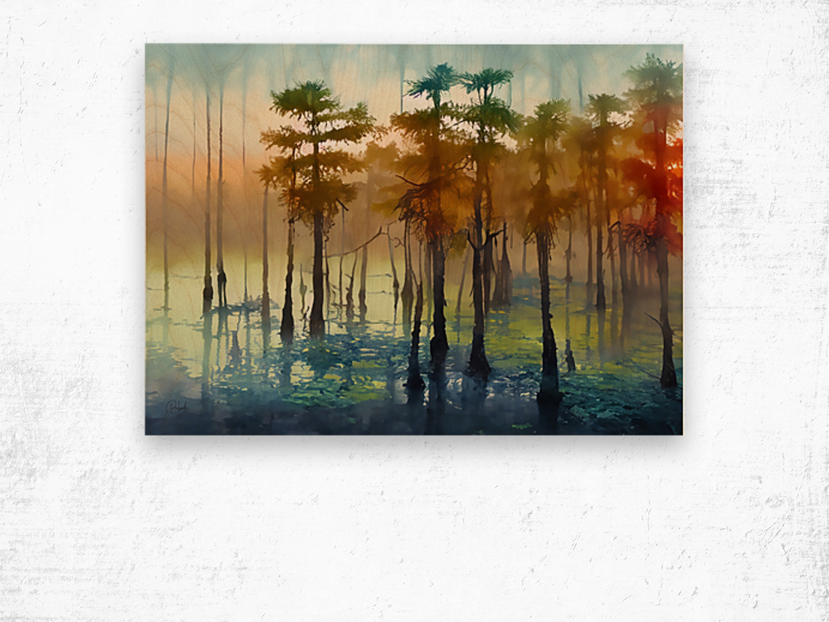 Cypress Trees in the Swamp Wood print