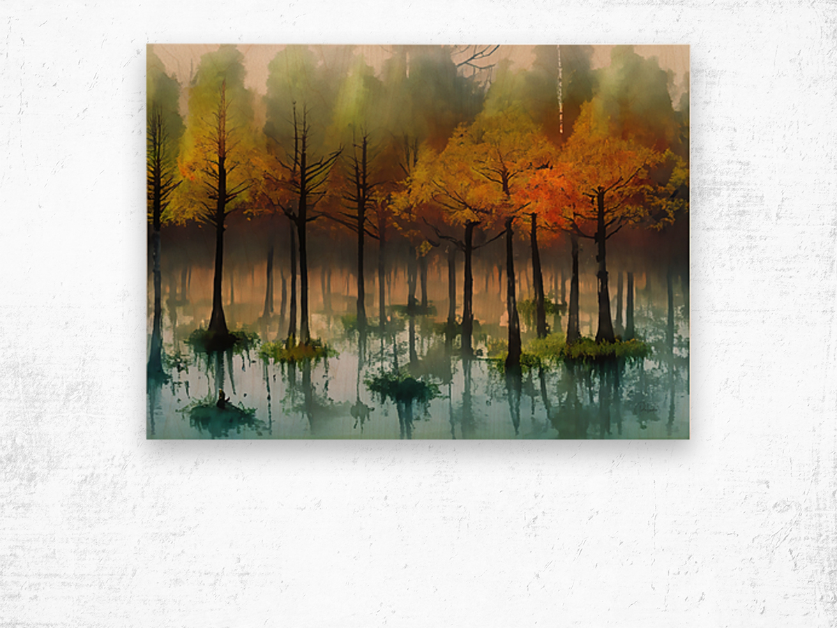 Cypress Trees in the Swamp II Wood print