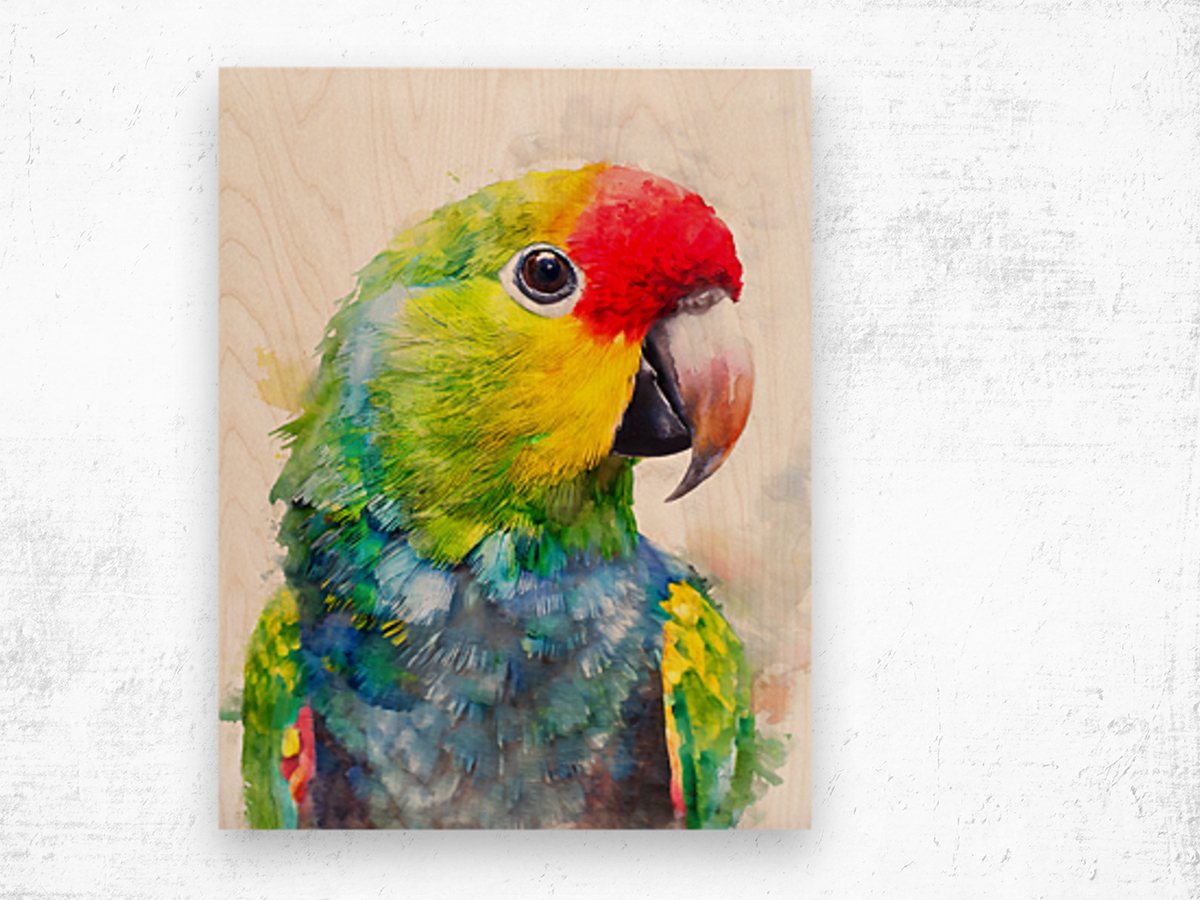 Electus Parrot Watercolor Wood print